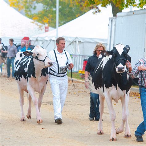 showequip|livestock show.